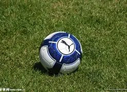 黔江武陵网,传媒新视角,竞技宝app下载,竞技宝官网网址,竞技宝网页入口,竞技宝网页地址,竞技宝app下载