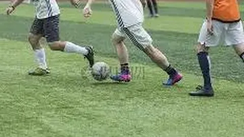 “自在舍得”荣获七大奖项，全方位创新成果广受赞誉